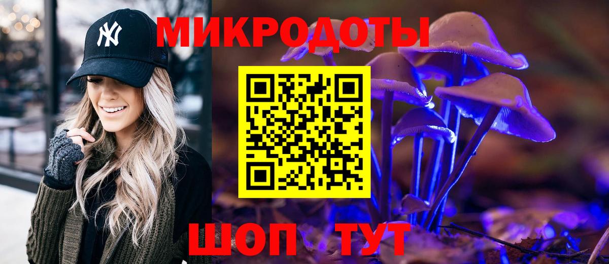 Тверь  Псилоцибиновые грибы Cubensis  Вход с VPN 