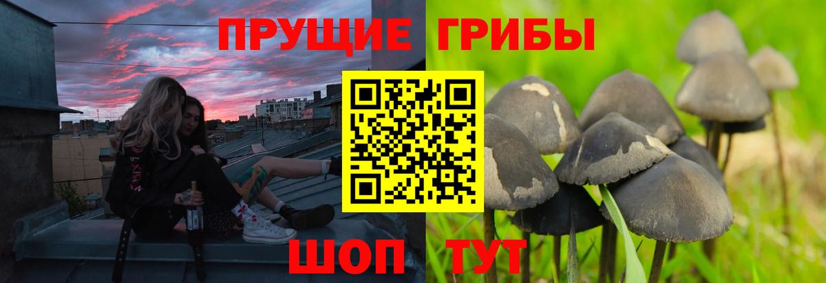 Галлюциногенные грибы MAGIC MUSHROOMS Тверь